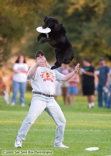 Man leaning back with black dog Frisbee in mouth jumping.